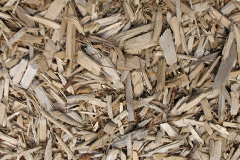 biomass boilers Balornock